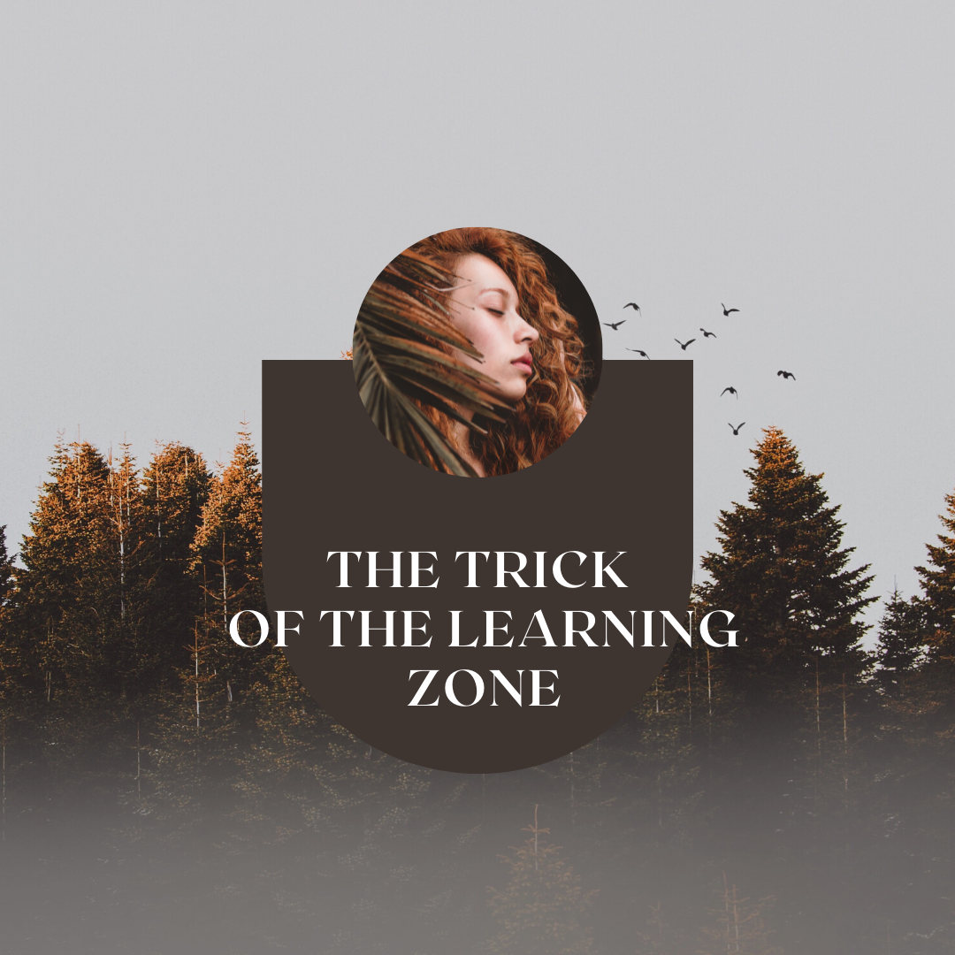 The trick of the learning zone - Loving To Improve